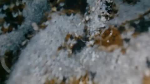 Londoncashmere69  online show from January 2, 2:57 pm