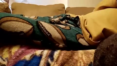 looking4bush online show from December 15, 8:04 pm