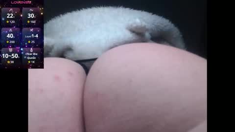 lorenitha online show from September 22, 12:15 am