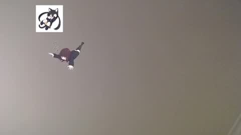 nefisa nef online show from March 2, 12:31 am