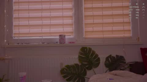 Nelly online show from October 14, 12:52 pm