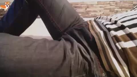  OLI online show from September 24, 3:19 pm