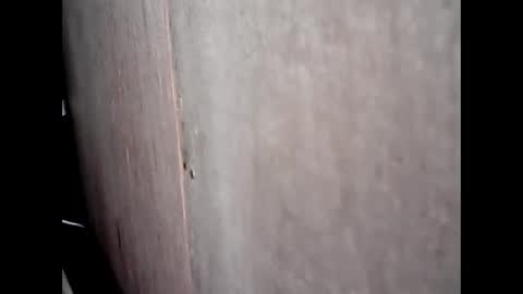 Khatty online show from January 22, 2:03 pm