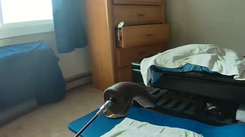 lovestrapons1 online show from February 12, 8:23 pm