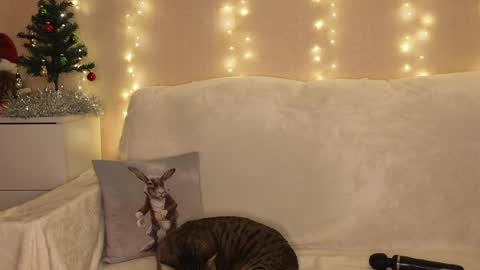 Snapshot of luckyday_ chatting on December 25, 6:52 pm Katerina online show from December 25, 6:52 pm