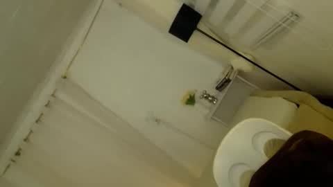    MONA    online show from February 7, 1:58 pm