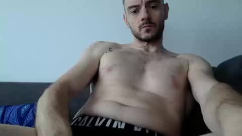 Lupine online show from November 15, 10:28 am