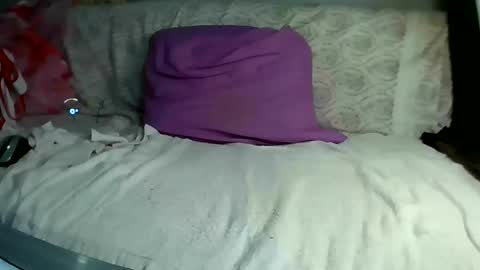 Bee Bee online show from March 10, 6:38 am