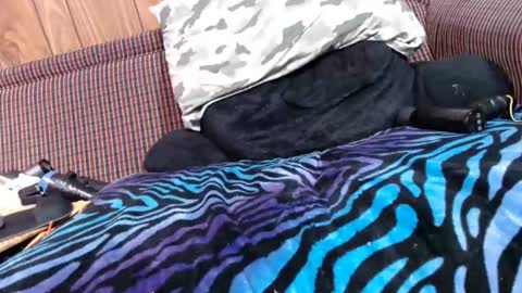 Lyke2fuck online show from February 6, 11:31 am