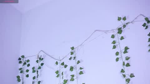 Lyly   online show from January 12, 5:36 am