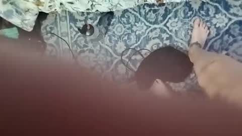 Lyra Greene online show from November 7, 7:11 am