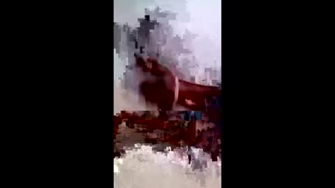 maciasbraulio846 online show from February 3, 10:41 am