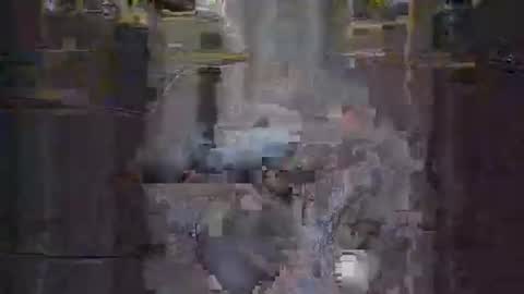 macwillie10158 online show from March 1, 1:18 pm