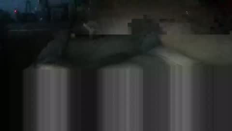 macwillie10158 online show from December 26, 10:37 am