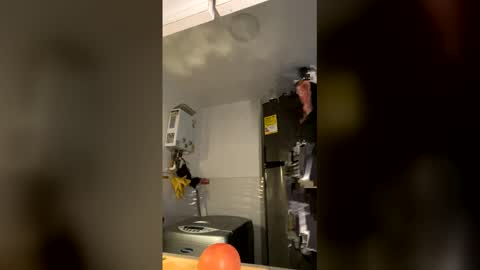 Tony Hoffa online show from December 18, 10:38 pm