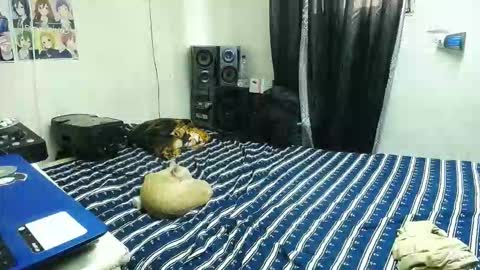 BRAYAN online show from January 16, 4:38 pm