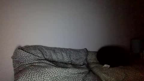 mamattv online show from February 26, 7:12 am