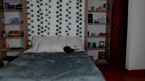 Danny online show from March 6, 5:24 am