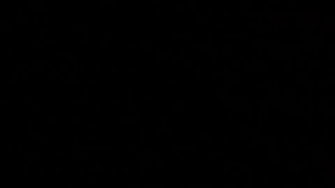 Elle online show from December 17, 11:00 pm