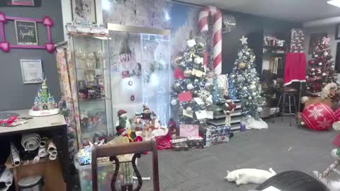 Marie Ann Waters online show from December 16, 4:38 pm