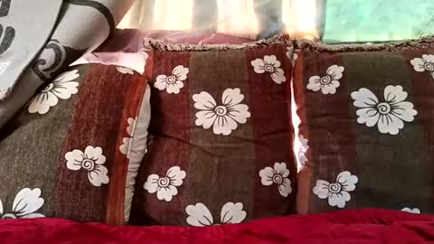 marocreda33 online show from February 10, 10:20 am