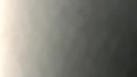 marsupilami_82_ online show from October 1, 10:47 am