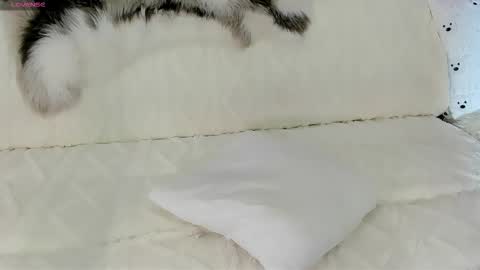 Maryelle online show from February 26, 9:40 pm