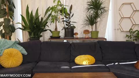 Mary Moody online show from March 9, 12:48 am