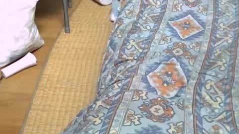 masayann online show from October 20, 12:48 am