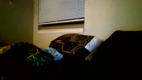 Snapshot of mastersquirter98 chatting on January 12, 4:10 am alex online show from January 12, 4:10 am