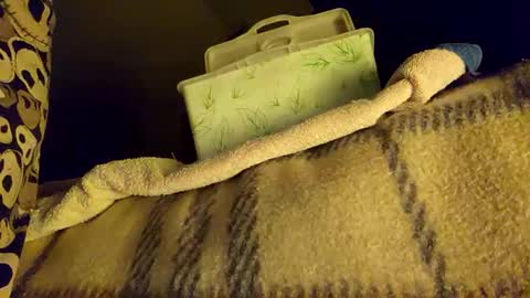 mattshadows667 online show from January 20, 2:22 am