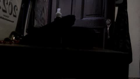 maximotorricelli online show from January 3, 9:47 pm