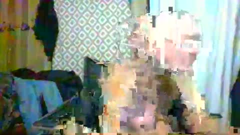 Max online show from February 19, 8:33 am