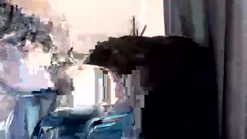 Oltereodora-lima online show from October 24, 8:59 am