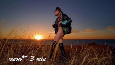 Sweet Meow nonude online show from September 19, 7:34 am