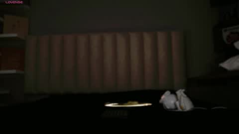     online show from February 2, 12:45 pm