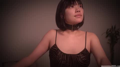  for more 3 online show from November 22, 2:54 am