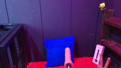 Snapshot of meghan_baker21 chatting on October 16, 12:38 pm Megahn online show from October 16, 12:38 pm