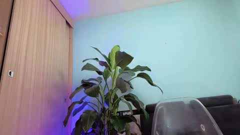 Melissa online show from November 29, 6:15 pm