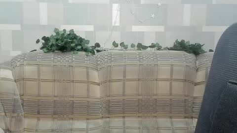 meowcr online show from March 21, 3:17 pm