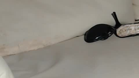 Jenny online show from October 2, 1:10 pm