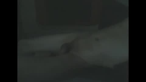 mfdvr474 online show from February 2, 9:49 am