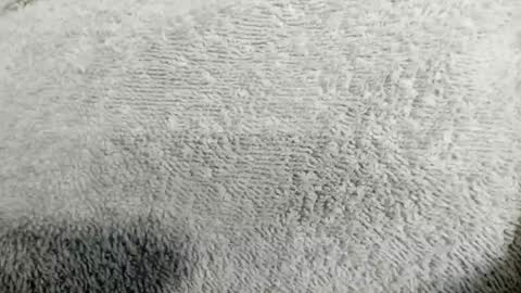 Mia online show from April 20, 2:14 am