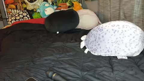 Mia Love online show from February 24, 9:10 am