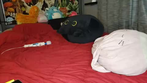 Mia Love online show from January 10, 11:11 am