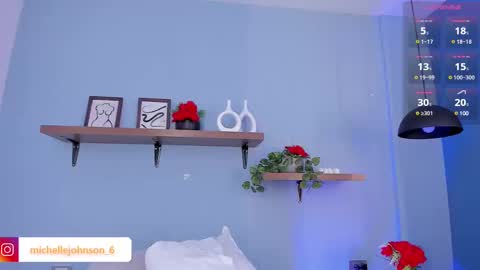 Michelle online show from February 27, 11:59 pm