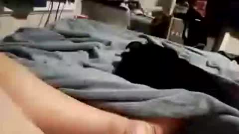 Dick Doctor online show from October 21, 4:06 am