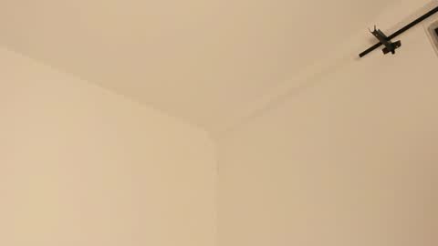 Snapshot of mila_monty__ chatting on February 14, 7:28 am     online show from February 14, 7:28 am