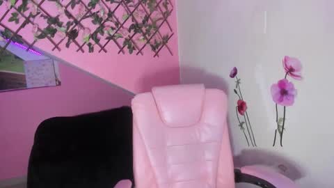 Snapshot of mildrecute chatting on October 8, 3:56 am Ana online show from October 8, 3:56 am