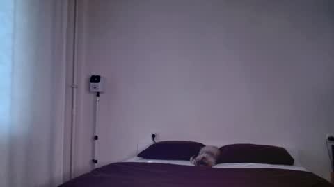 Snapshot of milky__way_ chatting on September 19, 3:27 pm milky__way_ online show from September 19, 3:27 pm